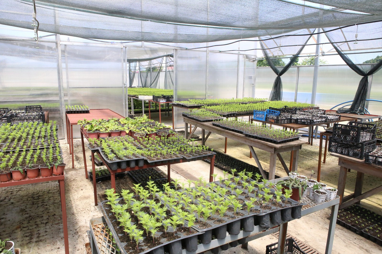 Polikarbon Sera Projemiz