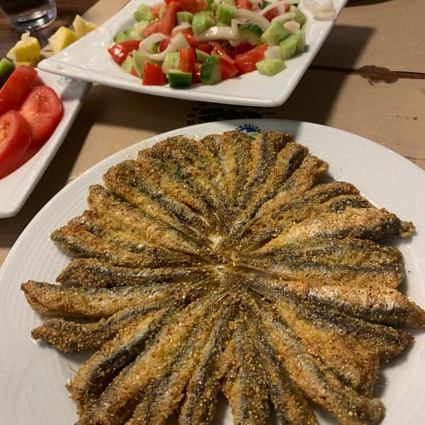 Tesislerimiz Hizmet Vermeye Başlamıştır