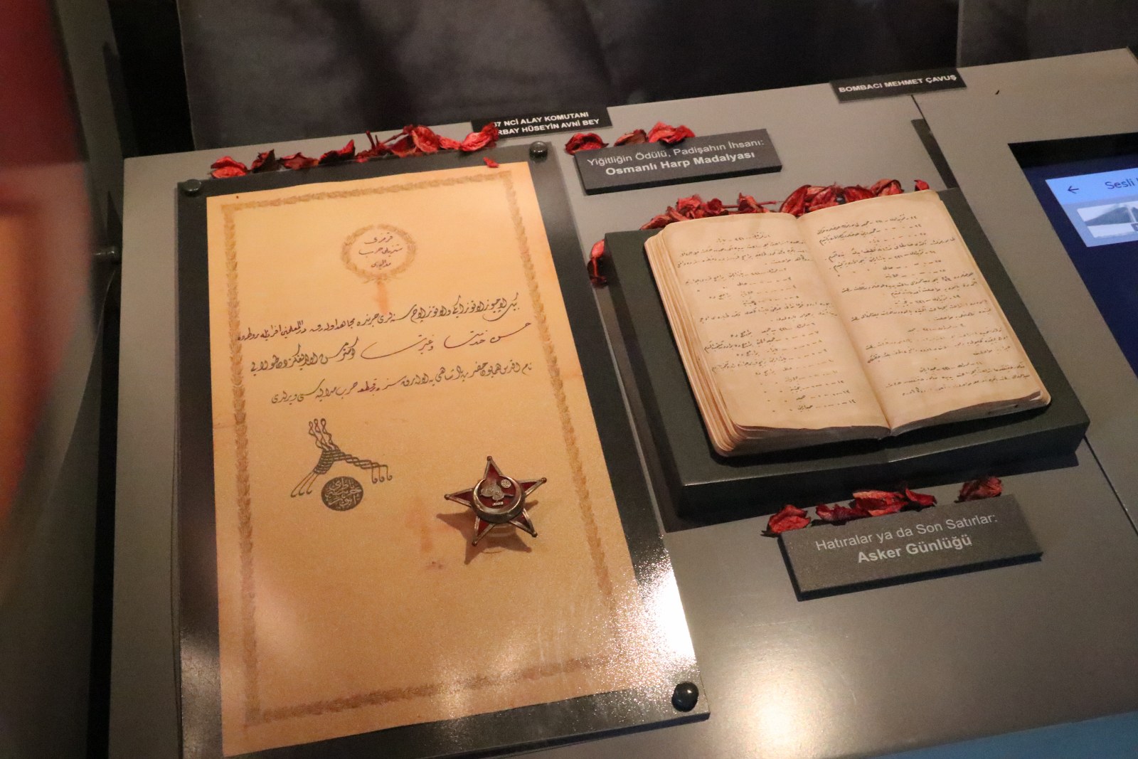 Çanakkale Savaşları Tırı İlçemizde