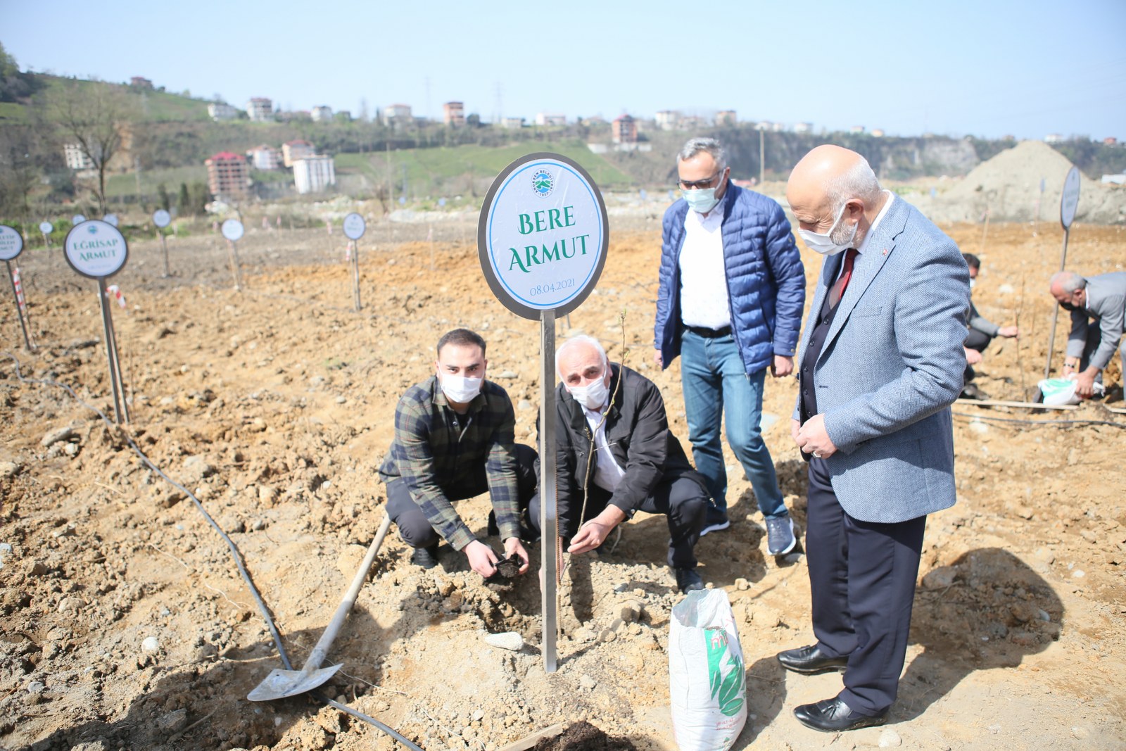 Belediyemiz Bölgemizdeki Armut Çeşitlerini Koruma Altına Alıyor.