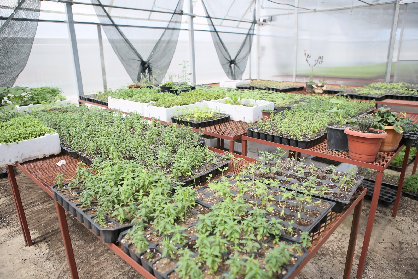 Fide bizden, ürün sizden