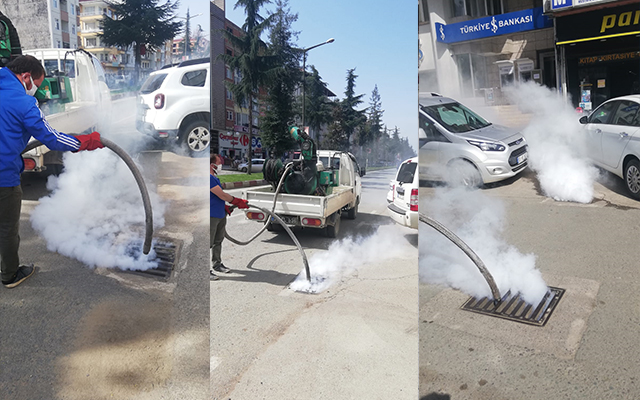 Larva ve Haşere İle Mücadele Erken Başladı