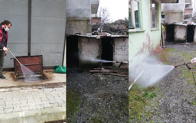 Larva ve Haşere İle Mücadele Erken Başladı