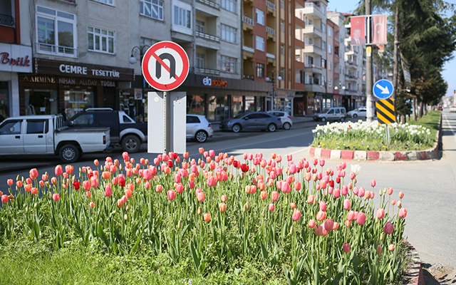 Ardeşen'de Lale Zamanı