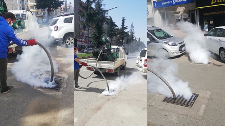 Larva ve Haşere İle Mücadele Erken Başladı