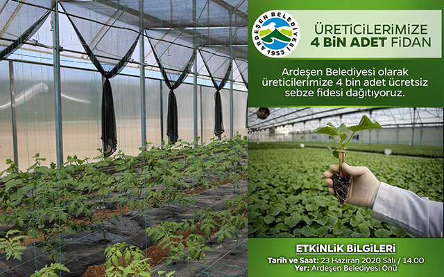 Üreticilere 4 Bin Adet Ücretsiz Sebze Fidesi Dağıtıyoruz